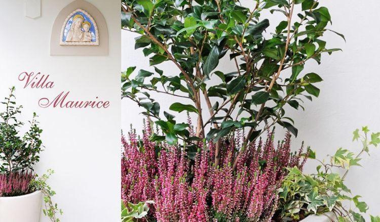 ستريزا Residence Villa Maurice المظهر الخارجي الصورة